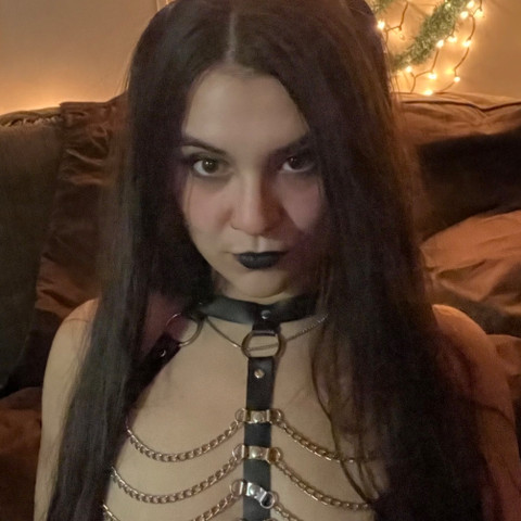 Ally🦋Cat profile picture