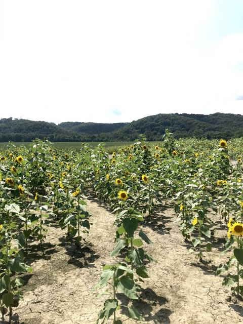 @emie_roux nude emie_roux nude