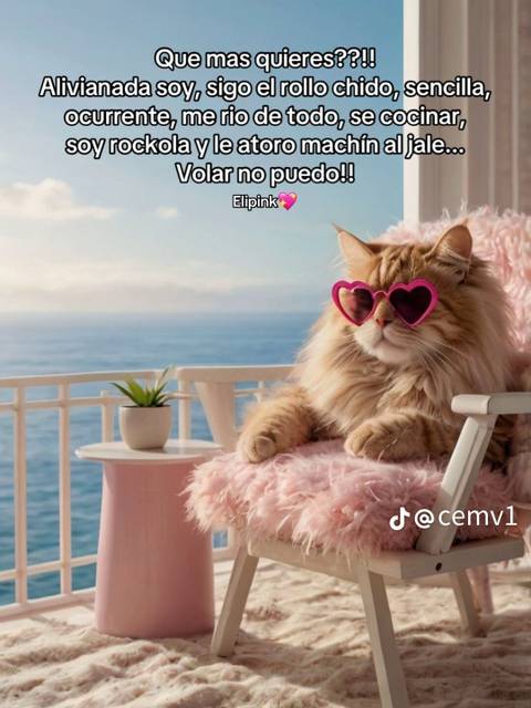 @muchachita9401 @muchachita9401