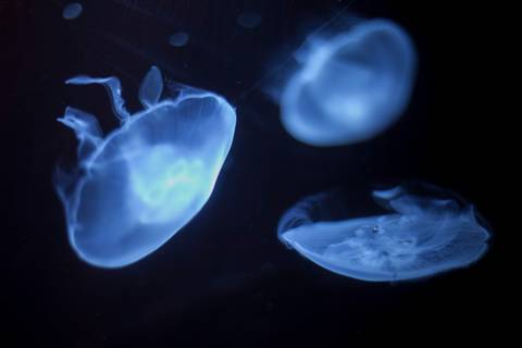 @mxultraviolet nude mxultraviolet nude