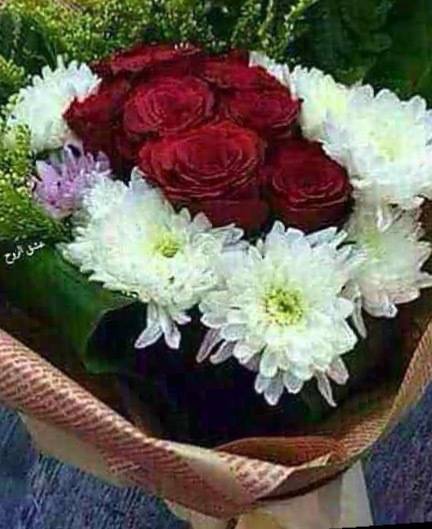 @iamnotherefornow nude iamnotherefornow nude