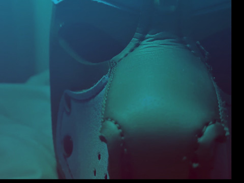 Pup Lumens profile picture