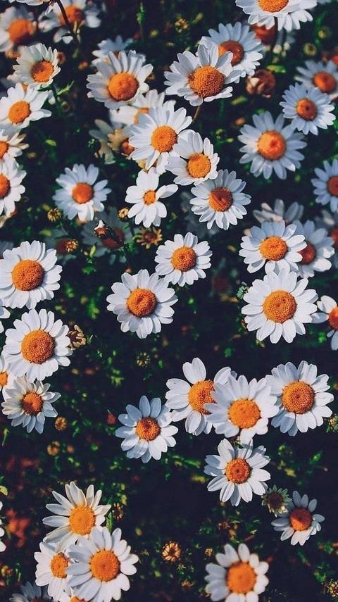 @u152376823 nude u152376823 nude