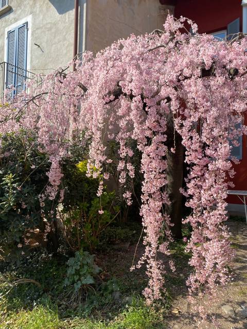 @claudieeetta nude claudieeetta nude