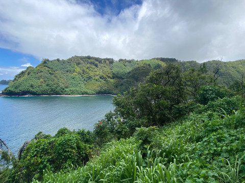 Happy Feet profile picture