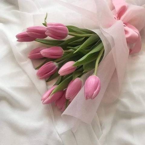 @lucytapink nude lucytapink nude