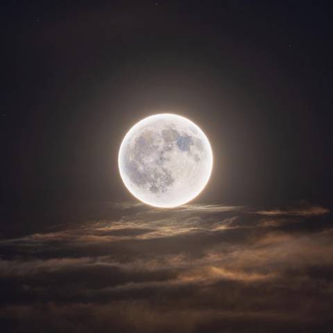 @chrisretro24 nude chrisretro24 nude