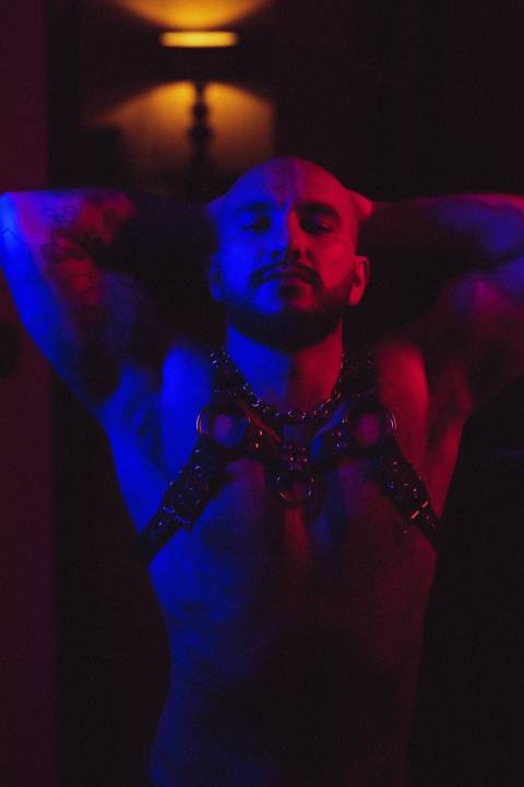 @brazilianwolf @brazilianwolf