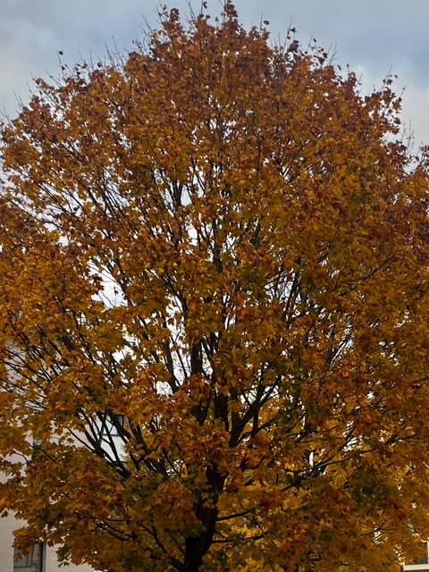 @strawbsplitx nude strawbsplitx nude