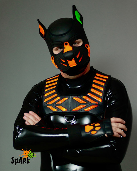 Spark profile picture