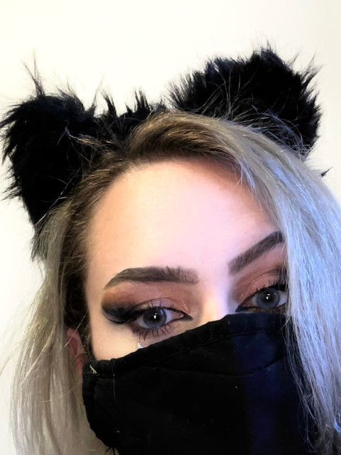 Cat profile picture
