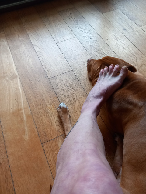 Dirty feet profile picture
