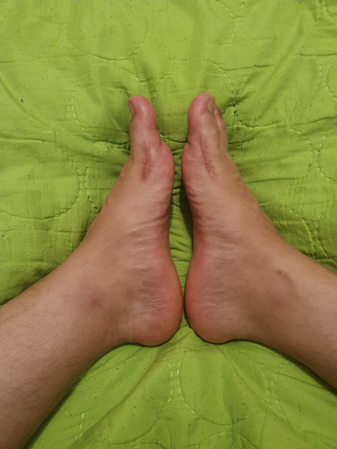 FrankyFeet profile picture