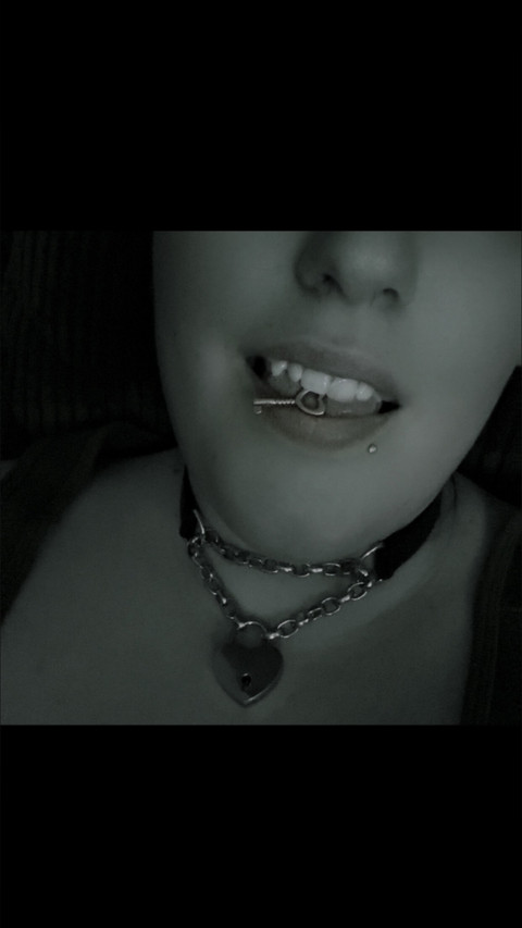 Shield bee profile picture