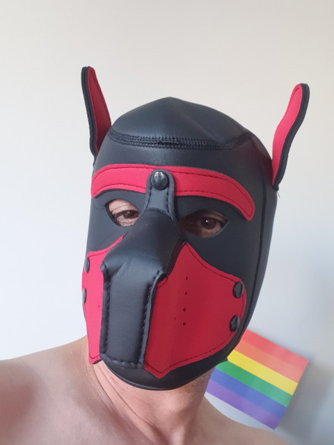 DoggyGayBoys profile picture