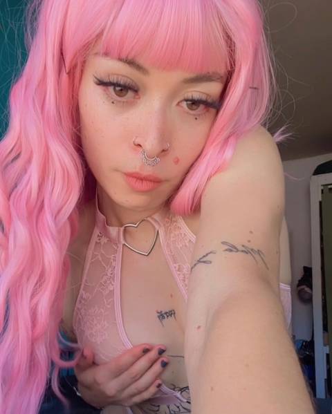 @wildplant @wildplant