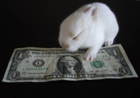 @ballsackmilk nude ballsackmilk nude