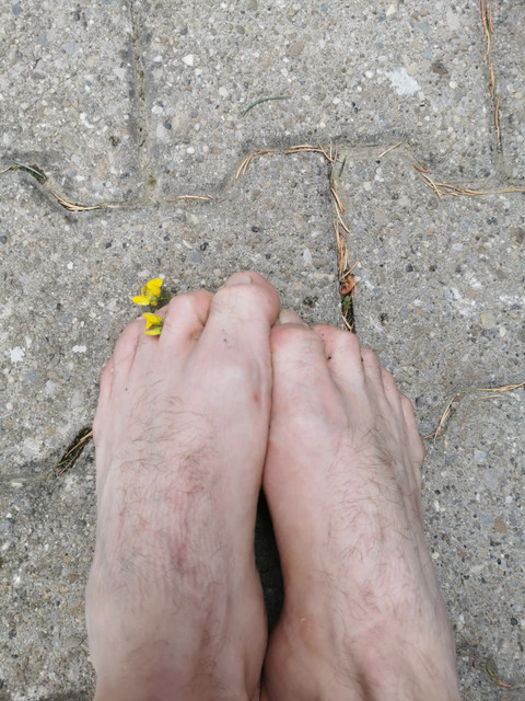 Feetmaster69 profile picture