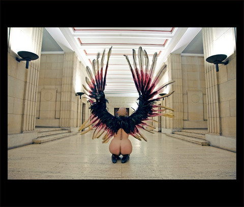 CynthIcorn profile picture