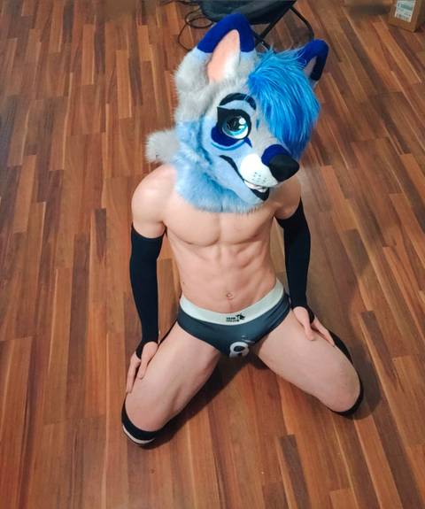 @foxyytoy @foxyytoy