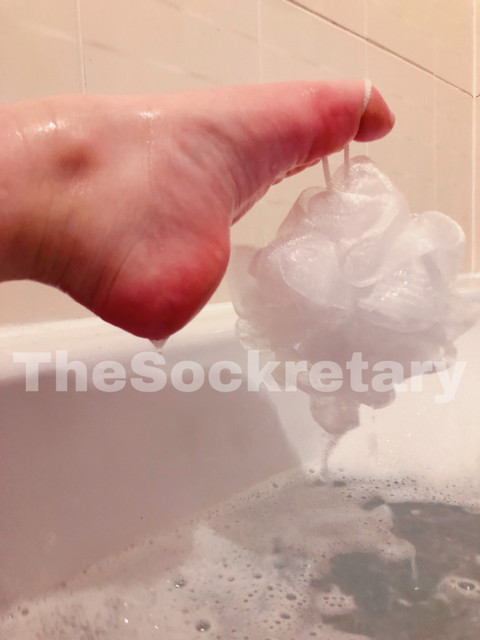 The Sockretary profile picture