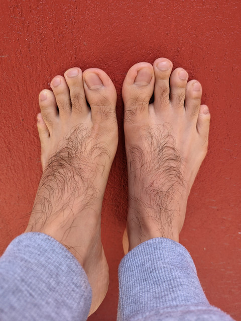 Harry Feet profile picture