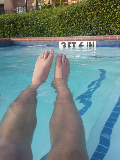 Edible Delight profile picture