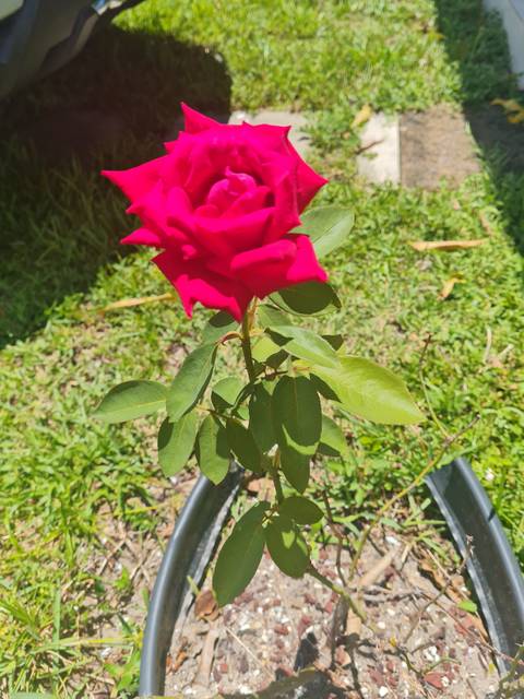 @u244613734 nude u244613734 nude