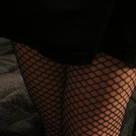 🐈🌺fern🌺🌈 (NSFW) profile picture