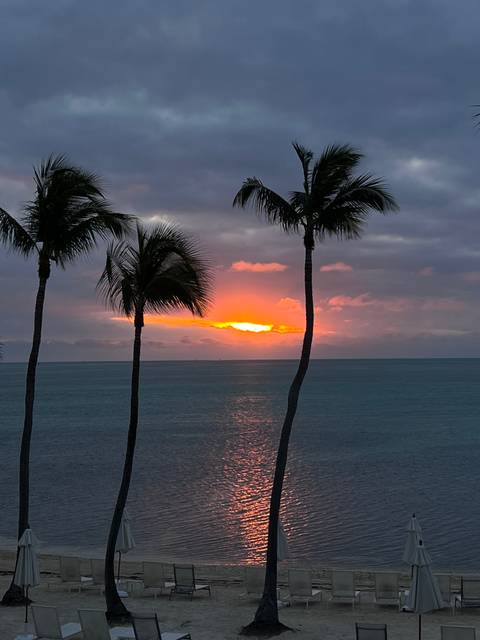 @haiileyirene nude haiileyirene nude