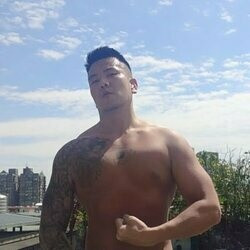 哥本大根 profile picture