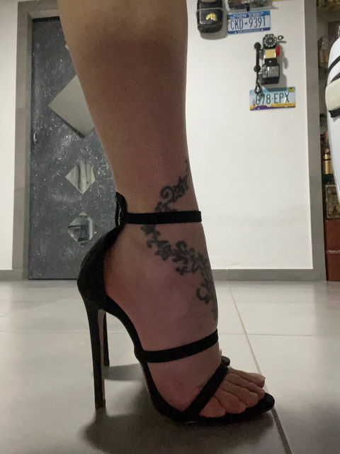 I piedi della dominatrice profile picture