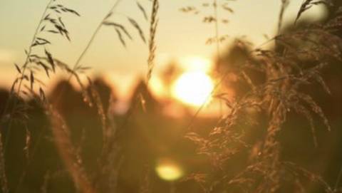 @sophieee3oo nude sophieee3oo nude