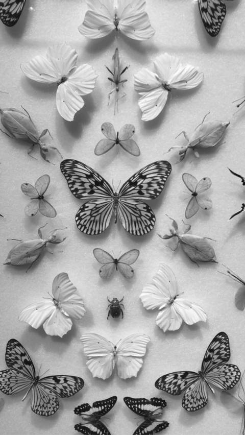 @maggy818410 nude maggy818410 nude