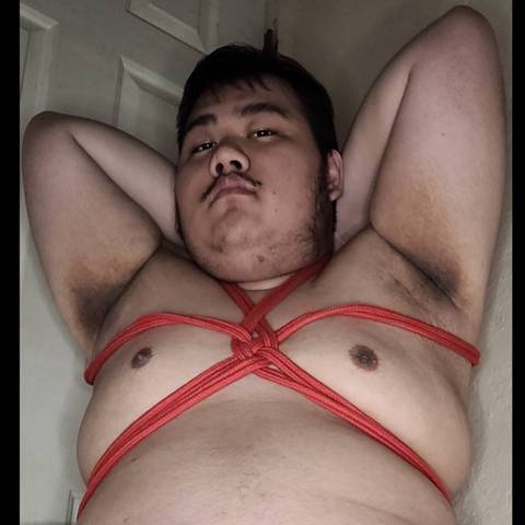 @zen_thepiglet @zen_thepiglet