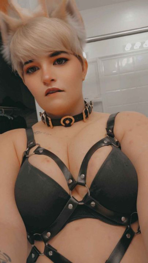 Bunny M profile picture
