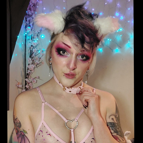 Caitlin Kitten profile picture