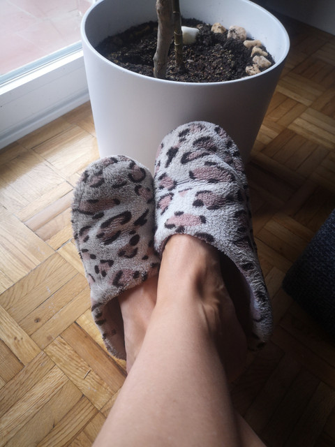 Feet around the world profile picture