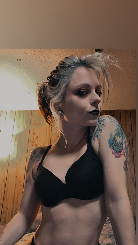 Phoenix profile picture