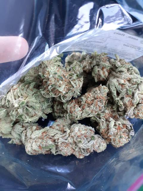 @sunflowereyes420 nude sunflowereyes420 nude