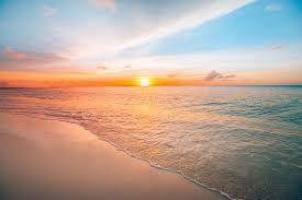 @sgibbons nude sgibbons nude