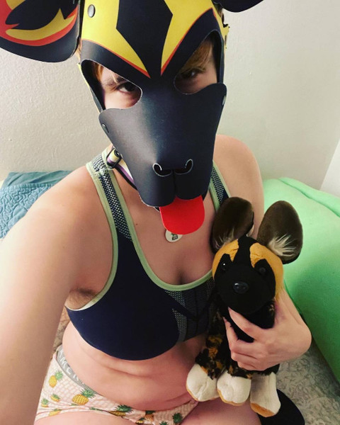 Mutt Bunny profile picture