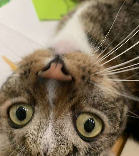 @u189394831 nude u189394831 nude