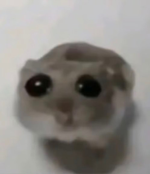 Your Secret Girl profile picture