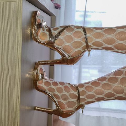 PandoraHeels profile picture