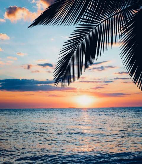 @darrellowen nude darrellowen nude