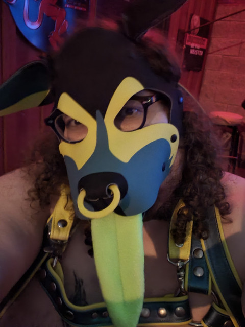 Xanadu profile picture