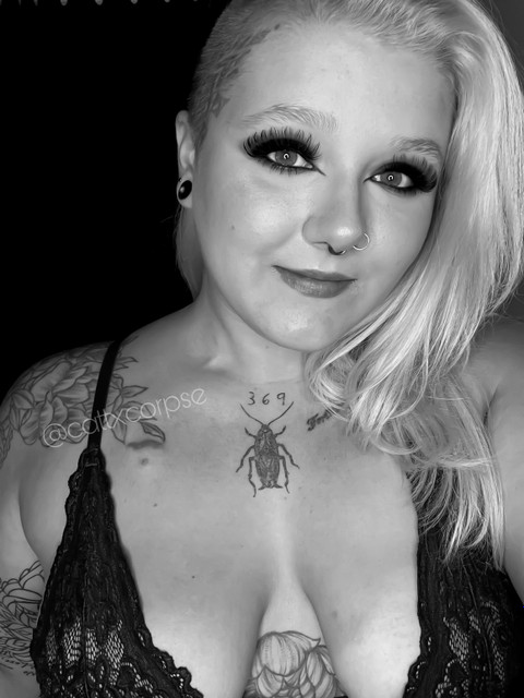 Catt Corpse profile picture