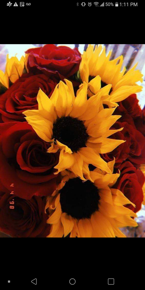 @phoenixrizez nude phoenixrizez nude