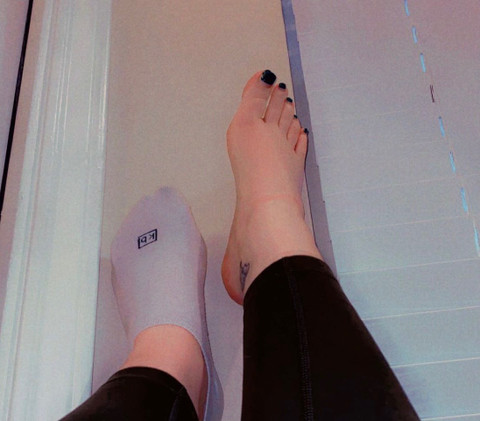 Sara Nohi profile picture